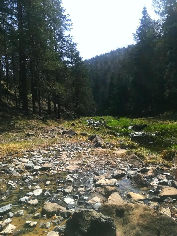 Katun Apartmani & Spa Divčibare 外观 照片